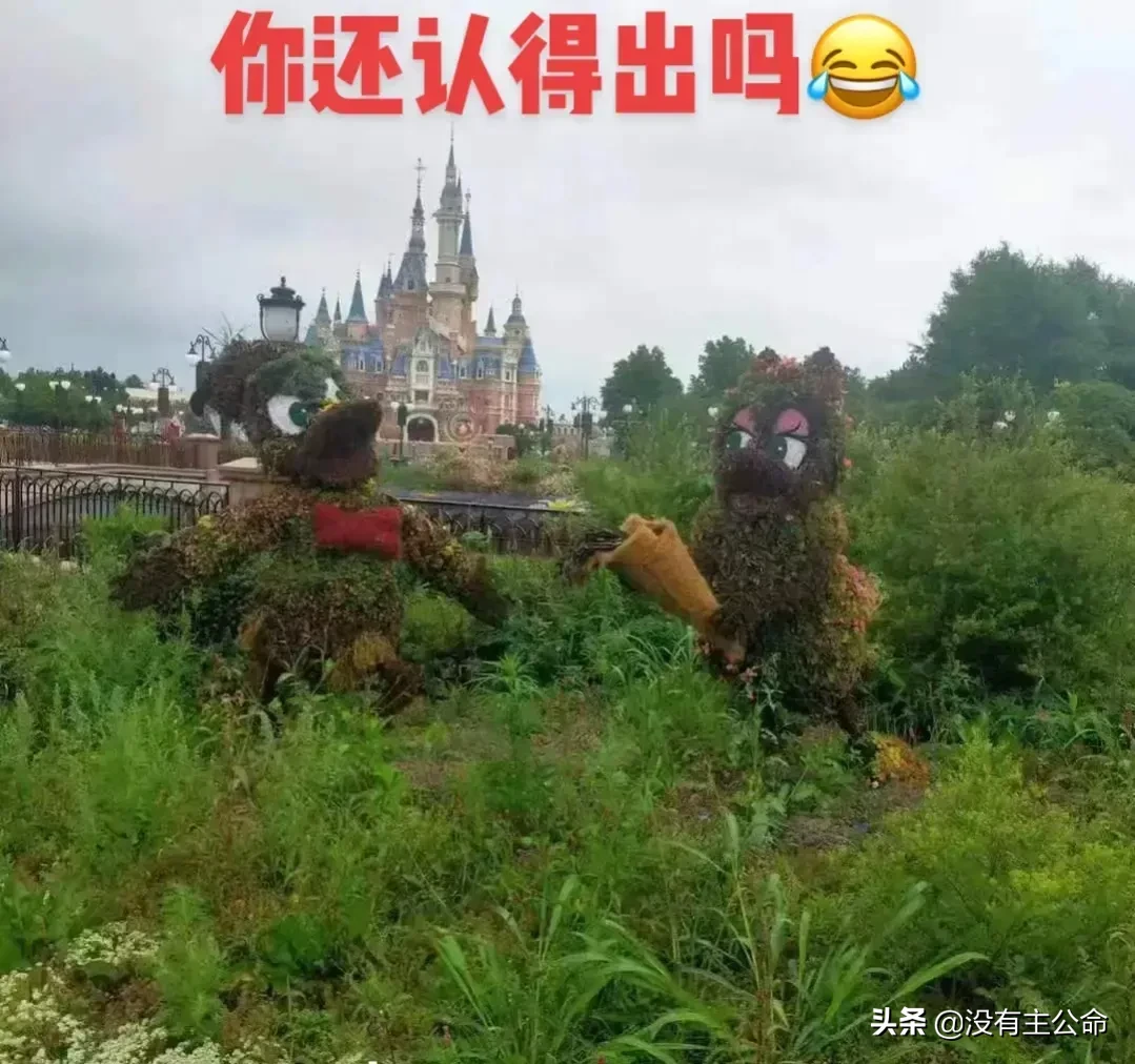 被遗弃的迪士尼乐园 疫情前后的上海迪士尼乐园图(图2)