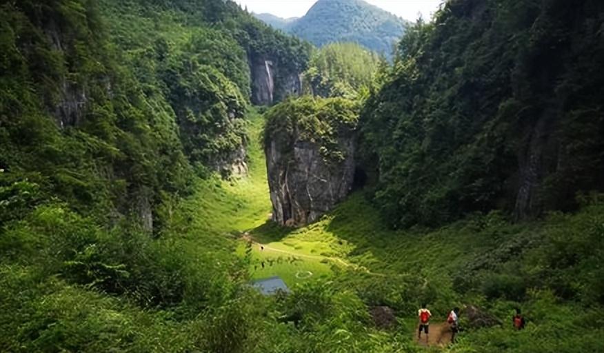 湖北捕蛇男子被蛇群咬死后，坟头成为蛇群聚集地真相(图2)