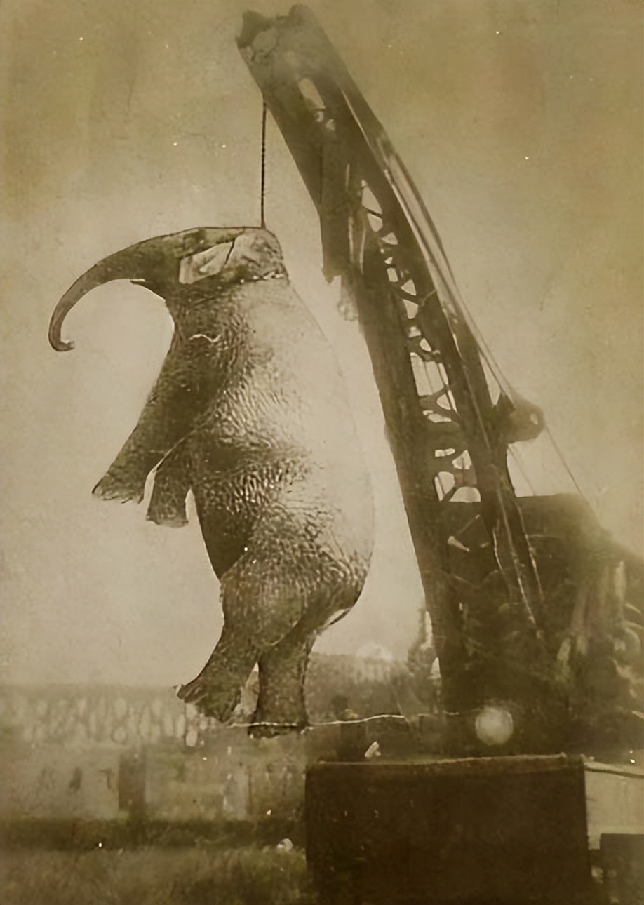 吊死大象的小镇，世界历史上唯一一头被处绞刑的大象真相(图7)