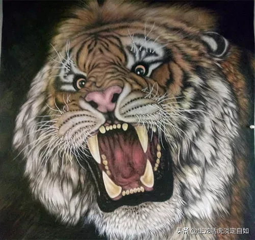 人们为什么很难见到老虎和狮子死亡后的尸体？