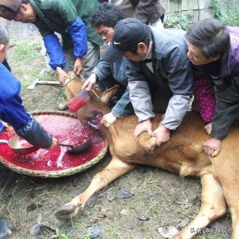 人死后在短时间内就出现腐烂发臭的味道 比猪牛羊肉更快发臭(图4)