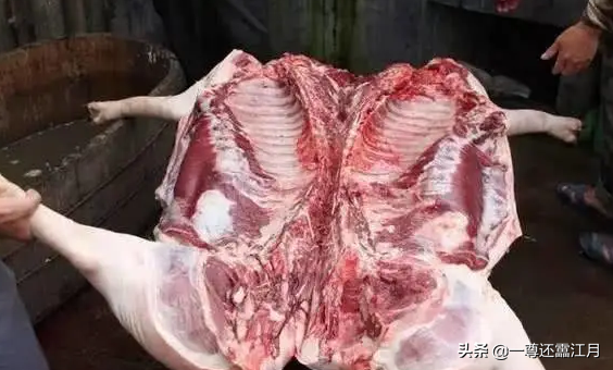 处理过的肉类猪肉羊肉牛肉为什么不会很快发臭？(图1)